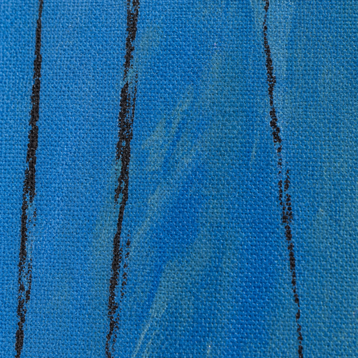 Blue Seed | Canvas — surface close-up