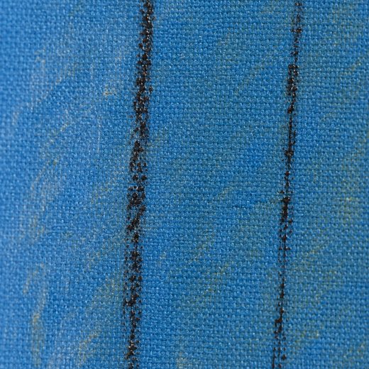 Blue Seed | Canvas — surface close-up