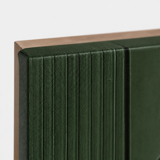 Lines Through Olive | Canvas — edge close-up