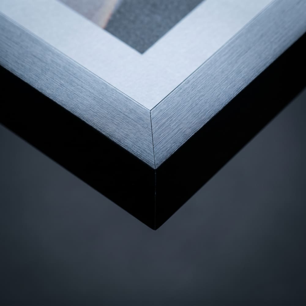 Metal Framed — frame detail
