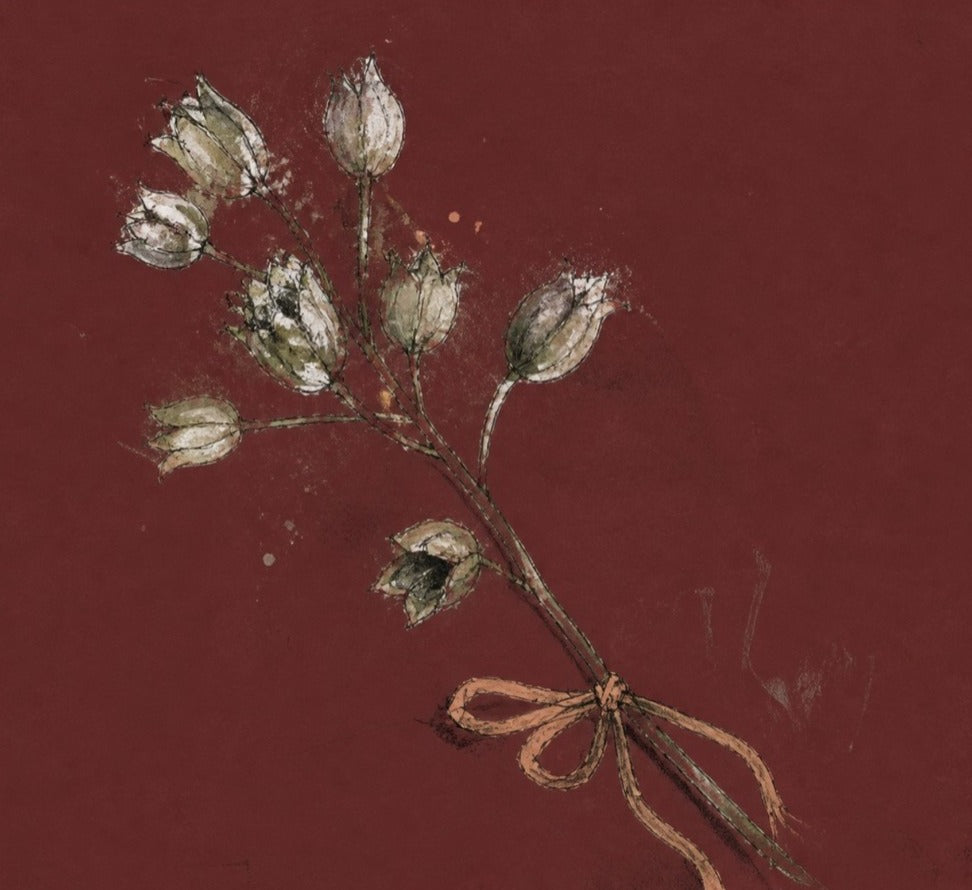 Drawing of dried seed heads tied with a ribbon on deep red